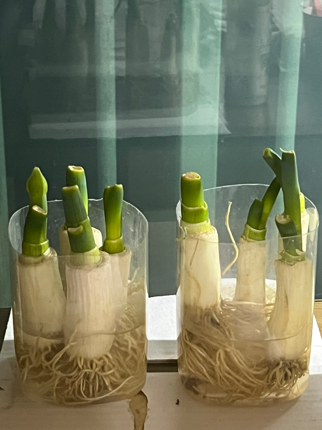 Post image 11