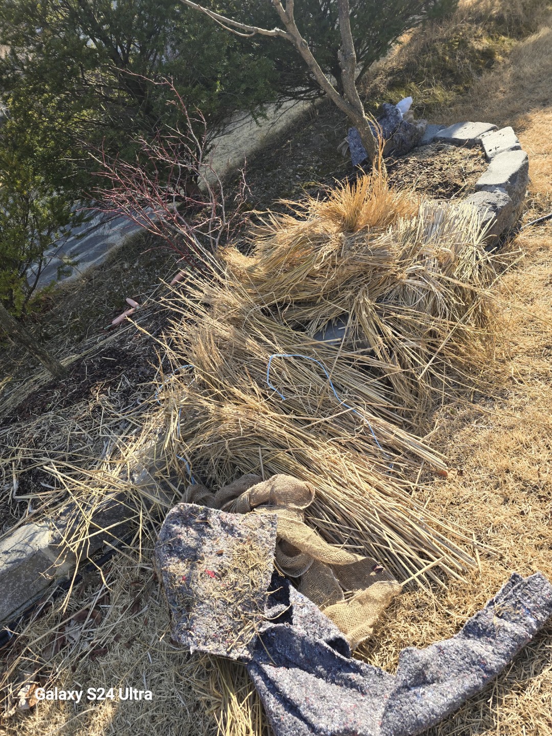 Post image 7