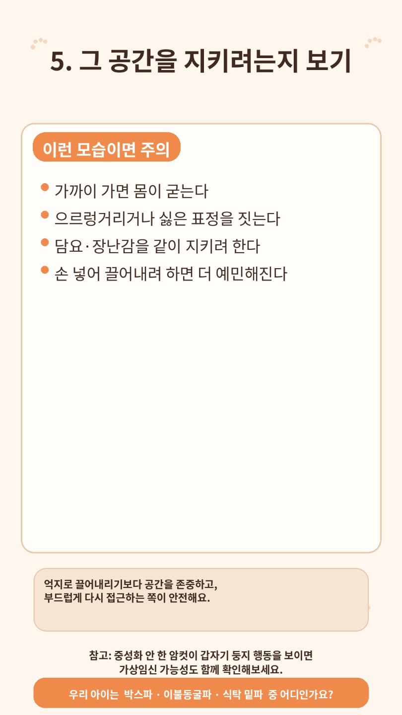 Post image 6