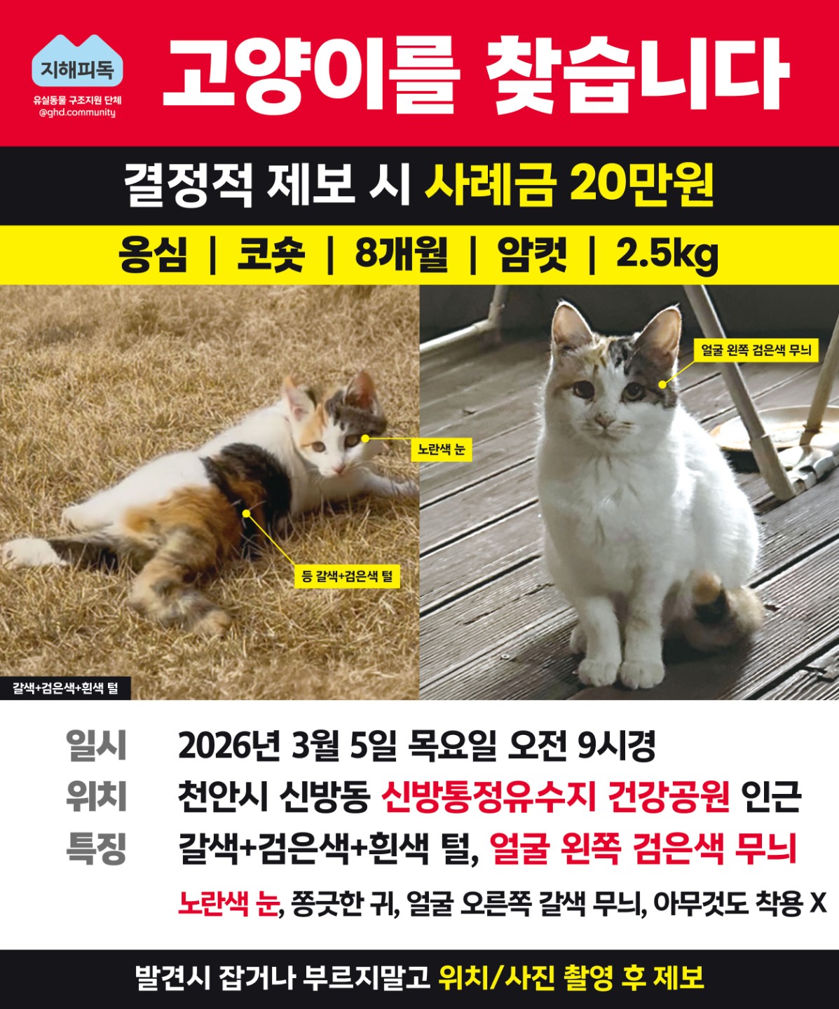 Post image 10