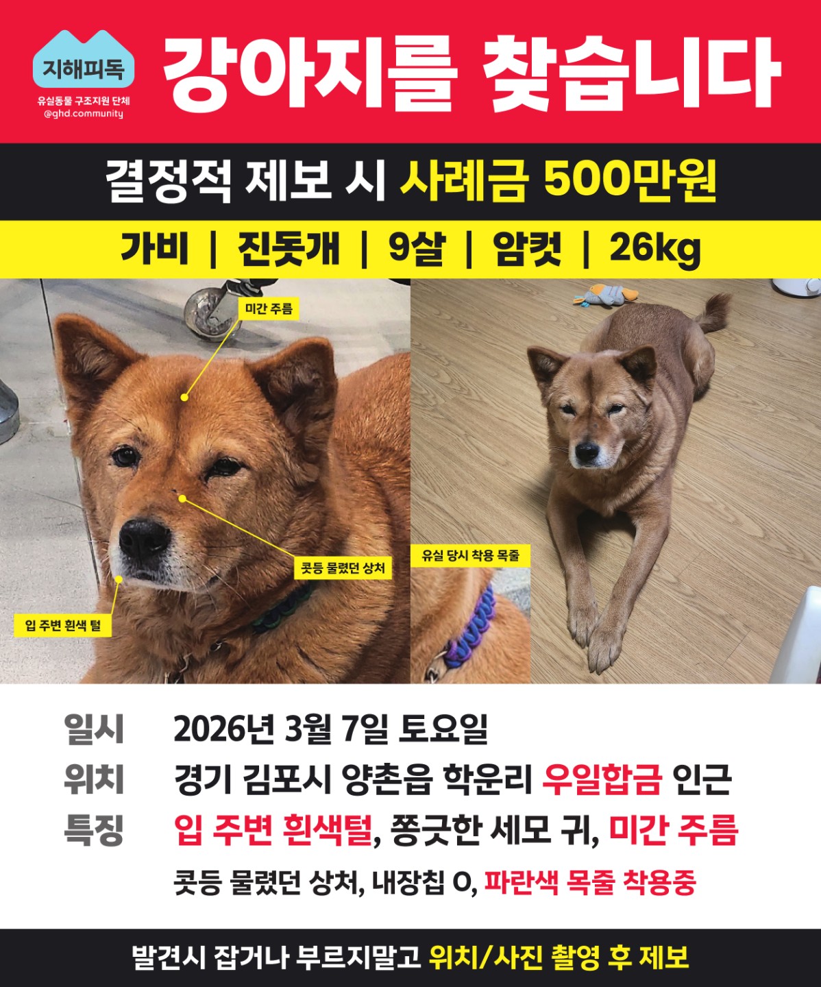 Post image 13