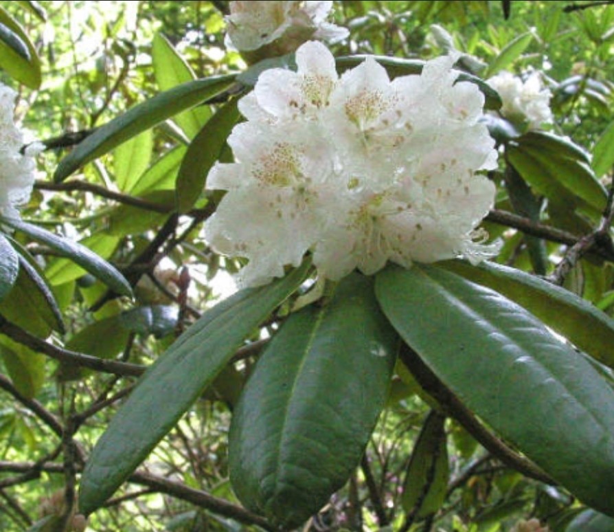 Post image 14