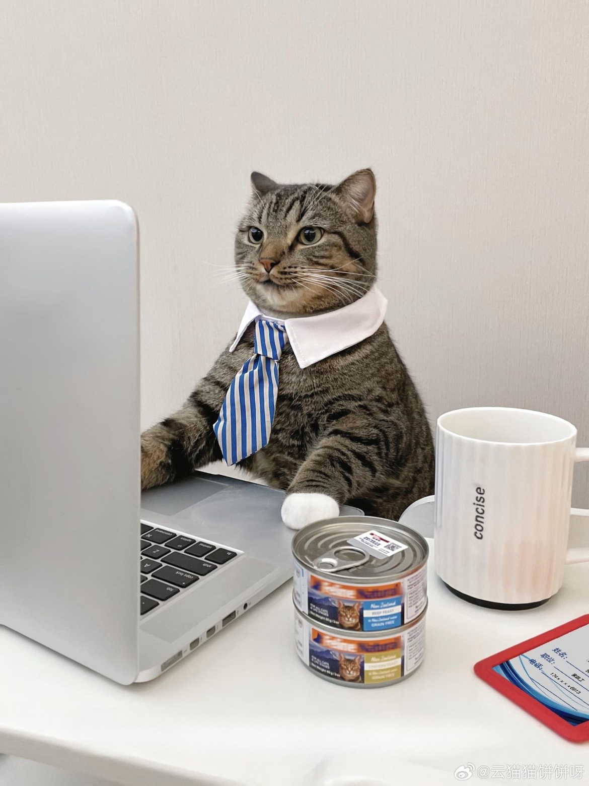 🎯경제공부 노트 작성 팁