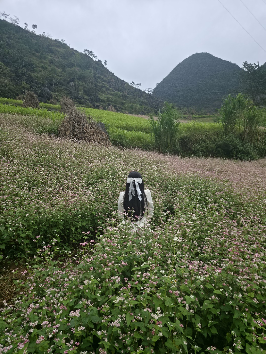 Post image 7