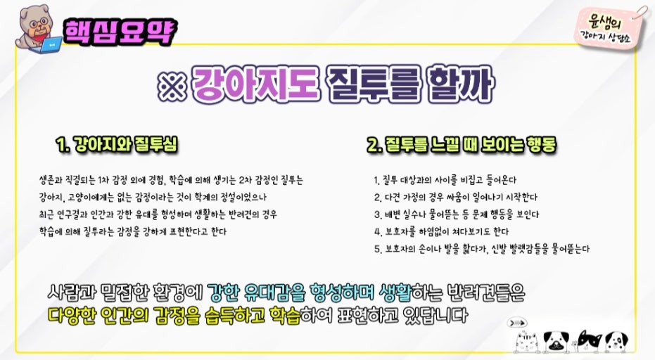 반려견도질투를할까