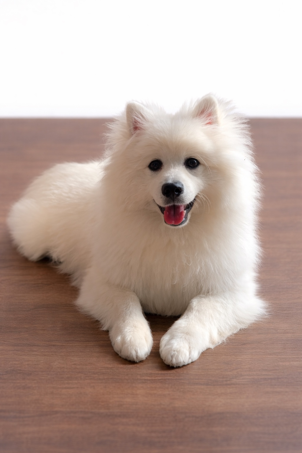 나갔다 들어올때마다