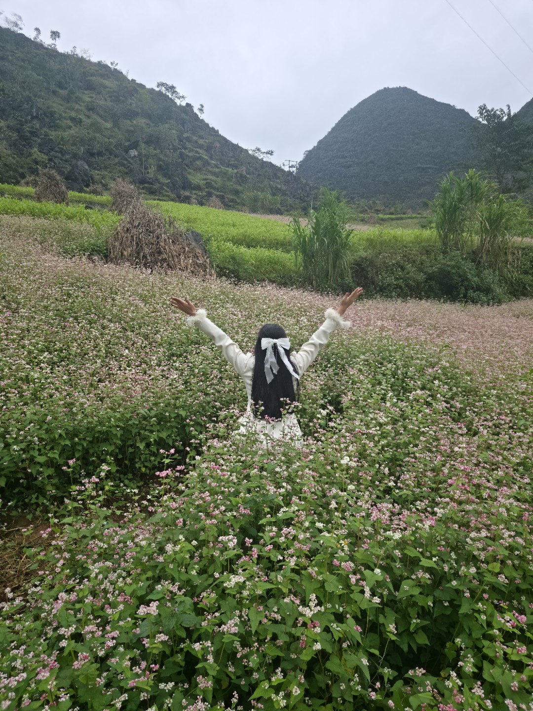 Post image 5