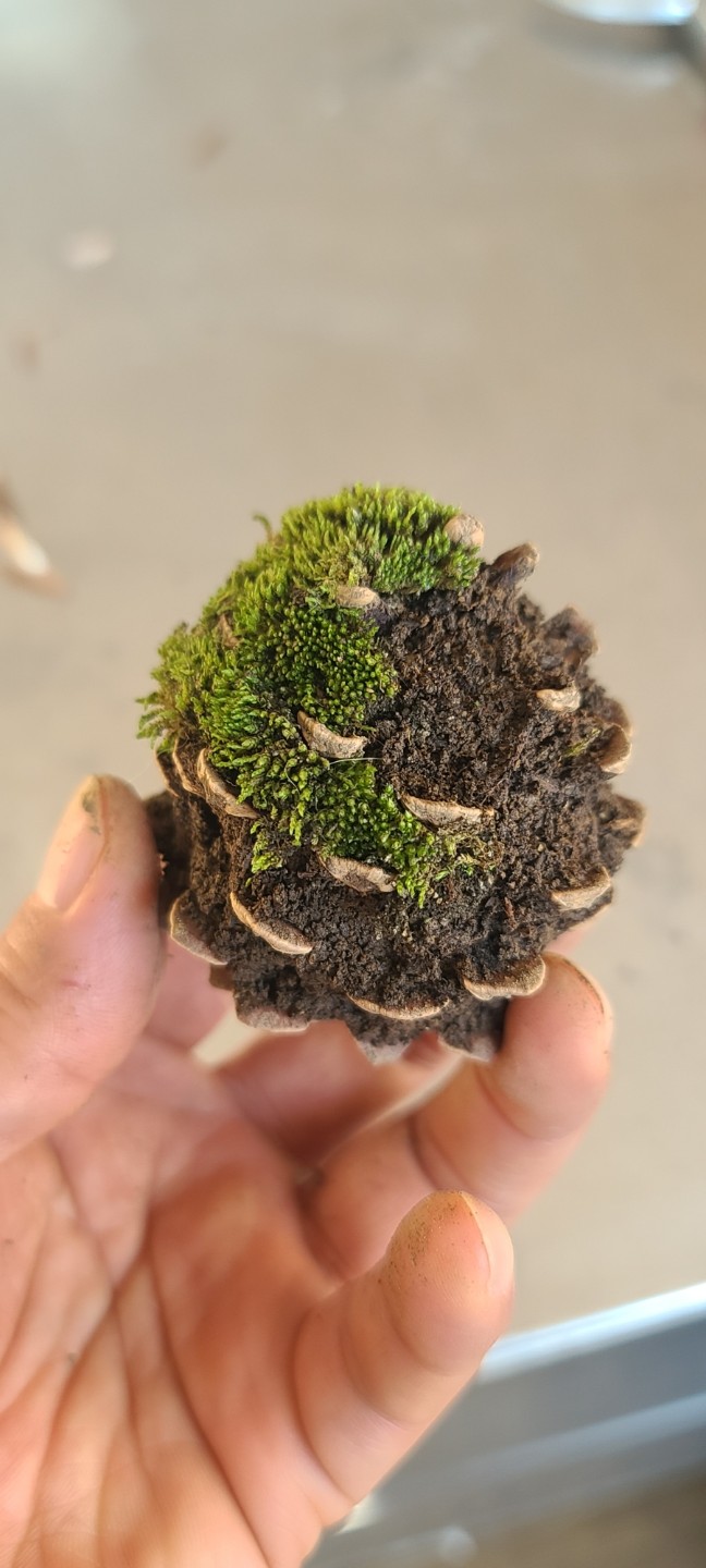Post image 3