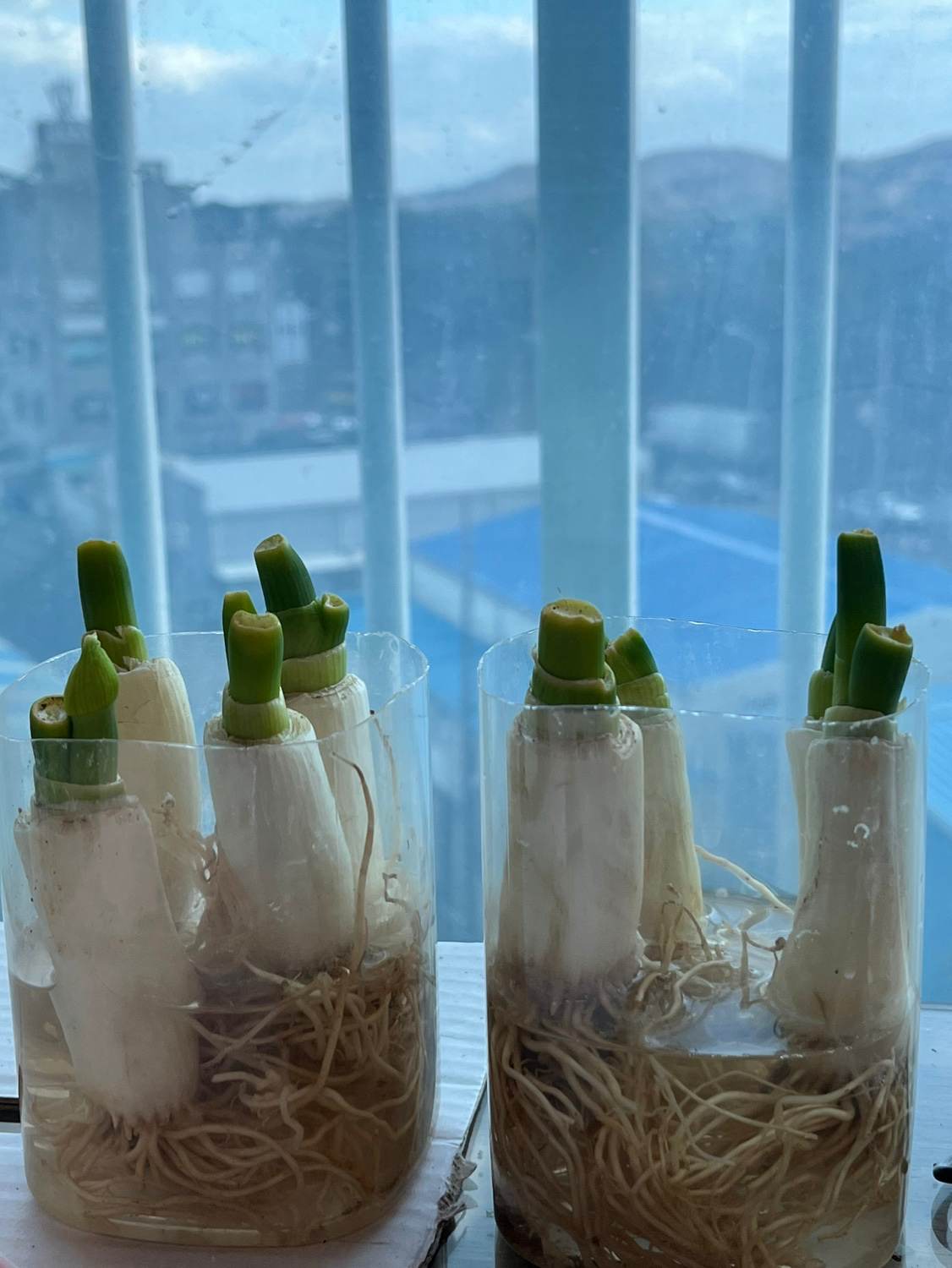 Post image 10