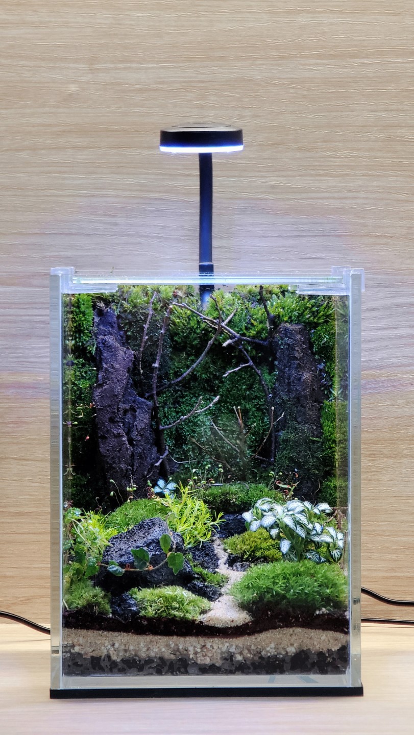 Post image 4