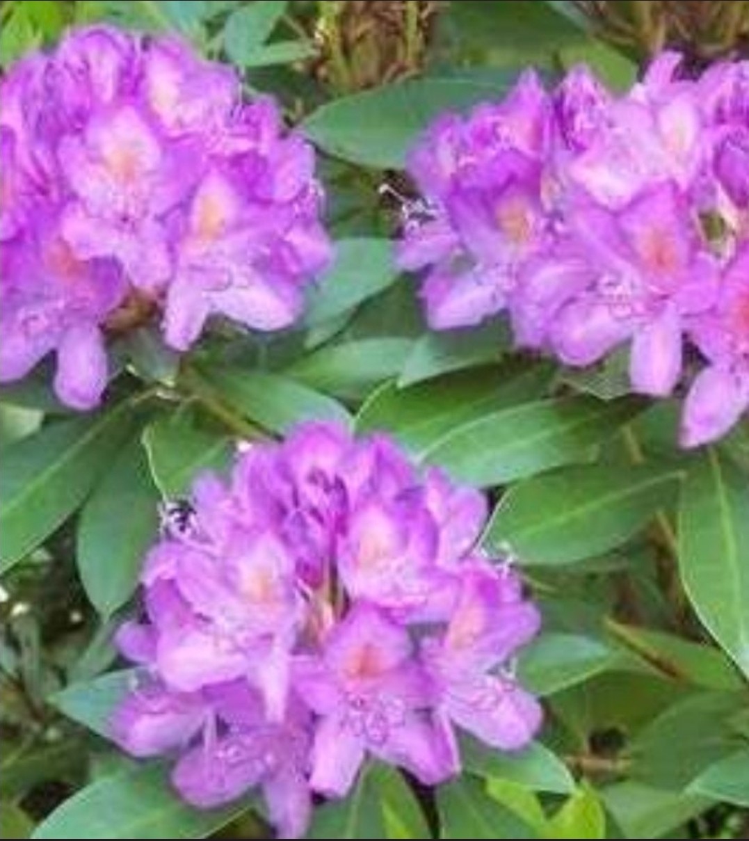 Post image 24