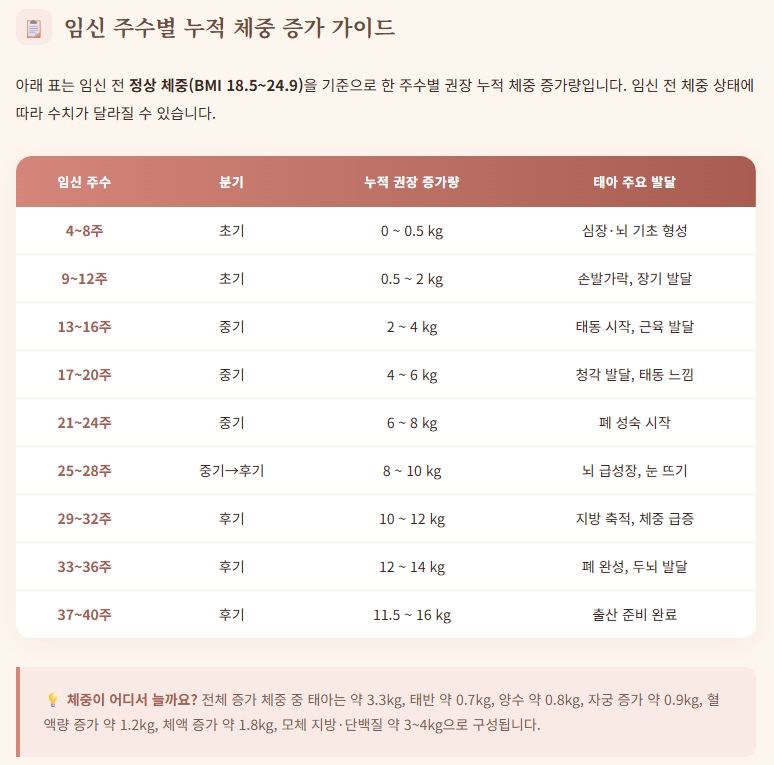 임신 주수 별 누적 체중 증가표 공유해요!