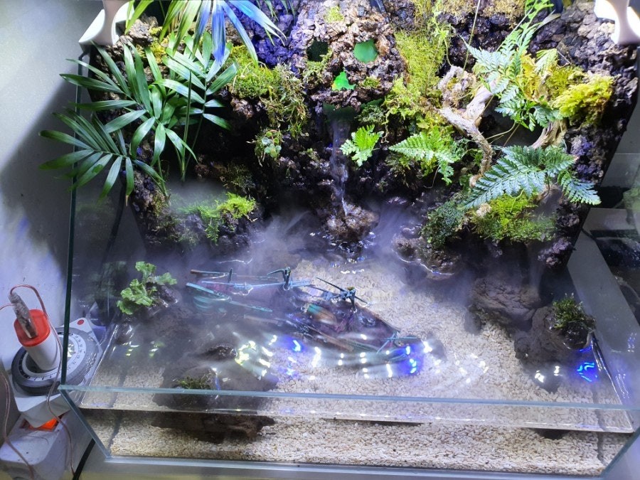 Post image 7