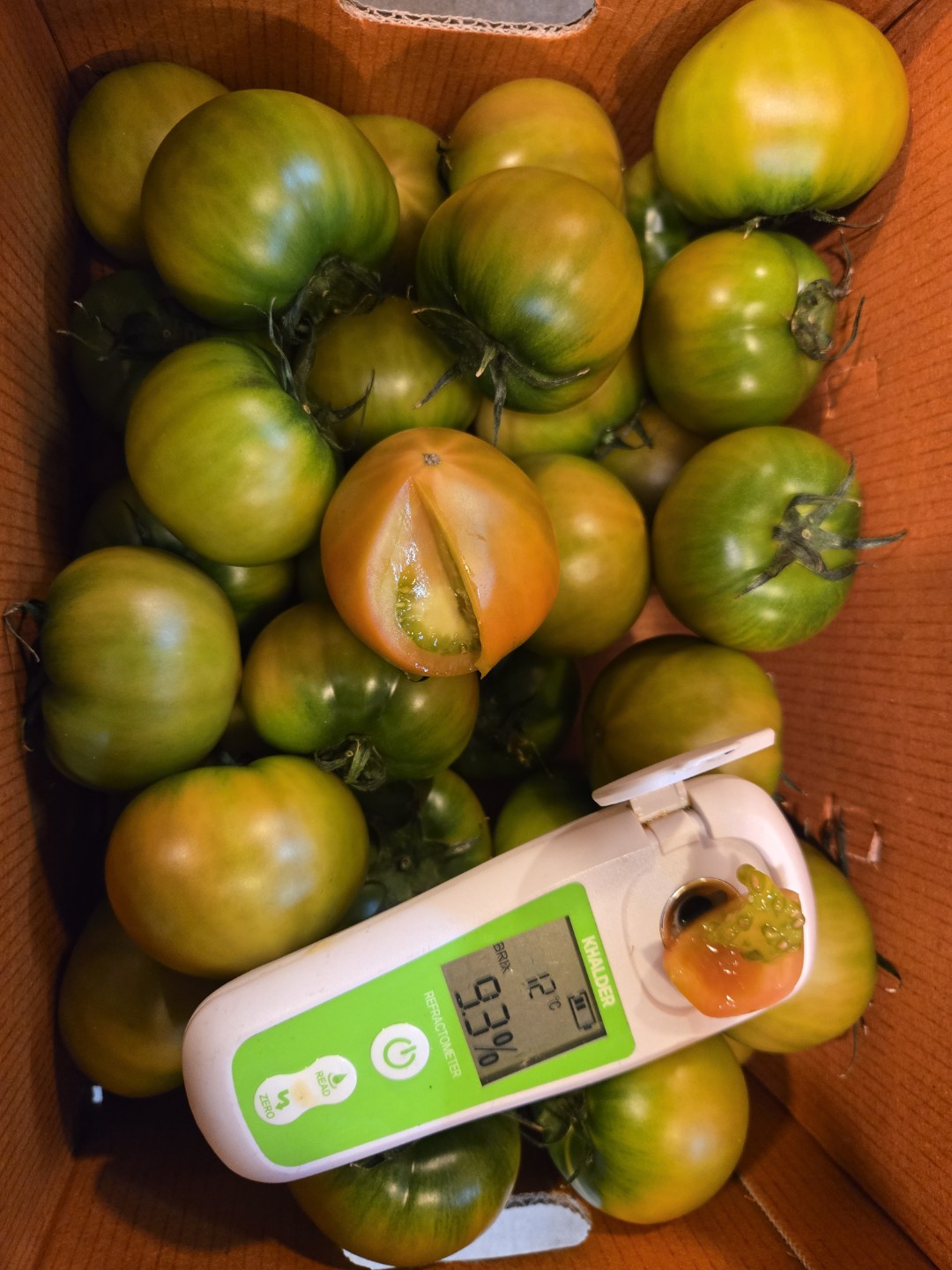 🍅산지직송 짭짤이 토마토