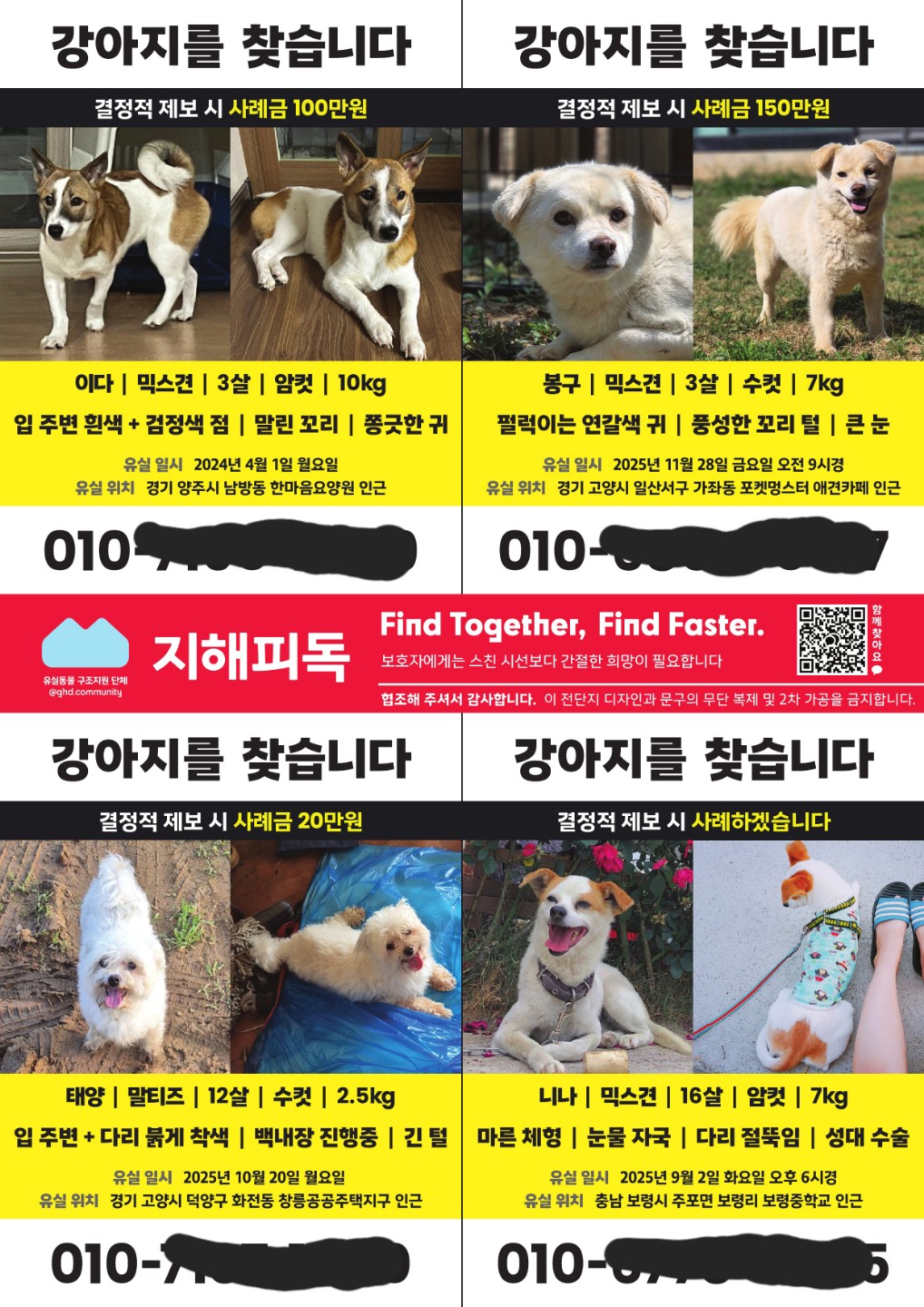 📍강아지 탐정은 없습니다 / 강아지 고양이를 잃어버렸을 땐?