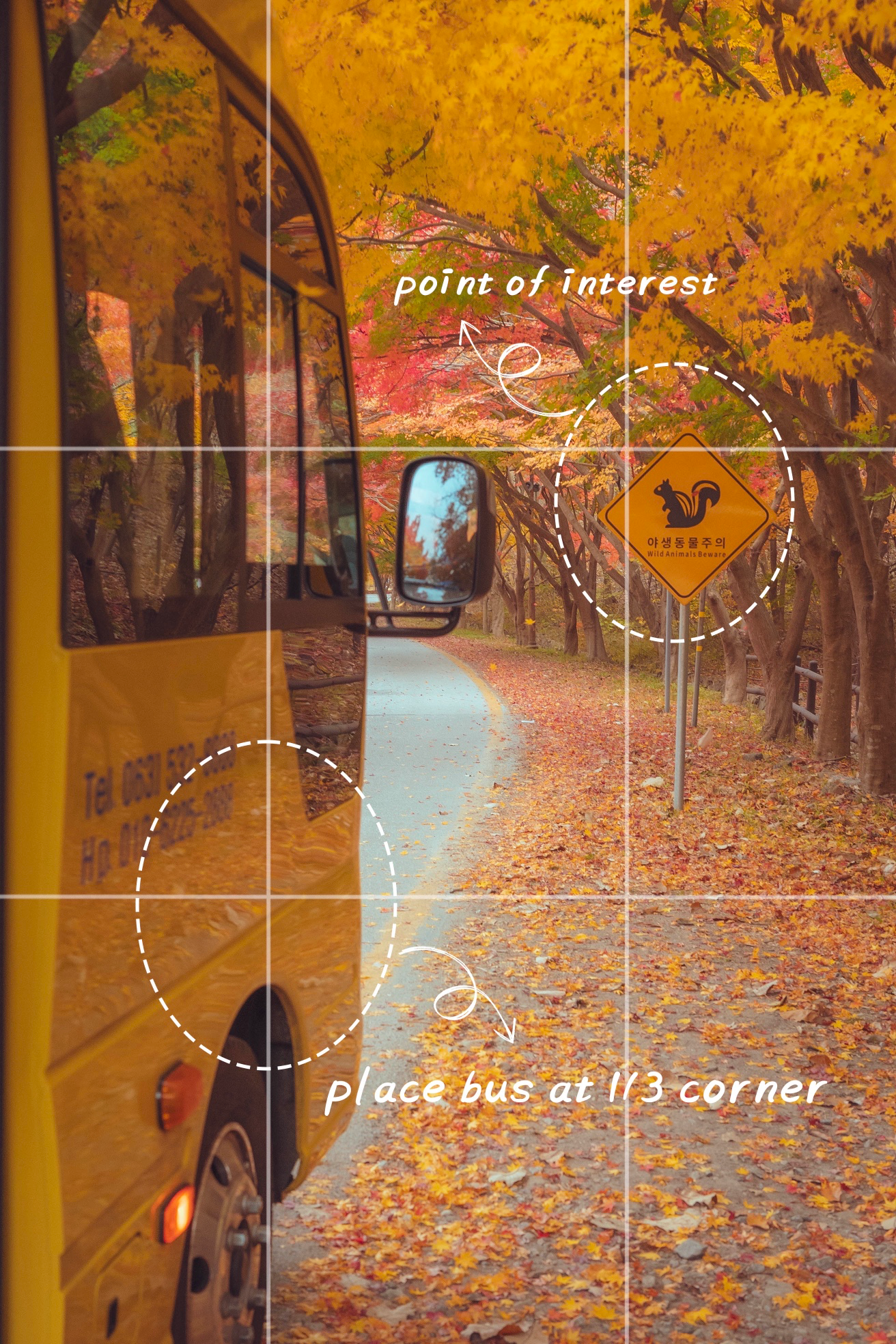 Post image 12