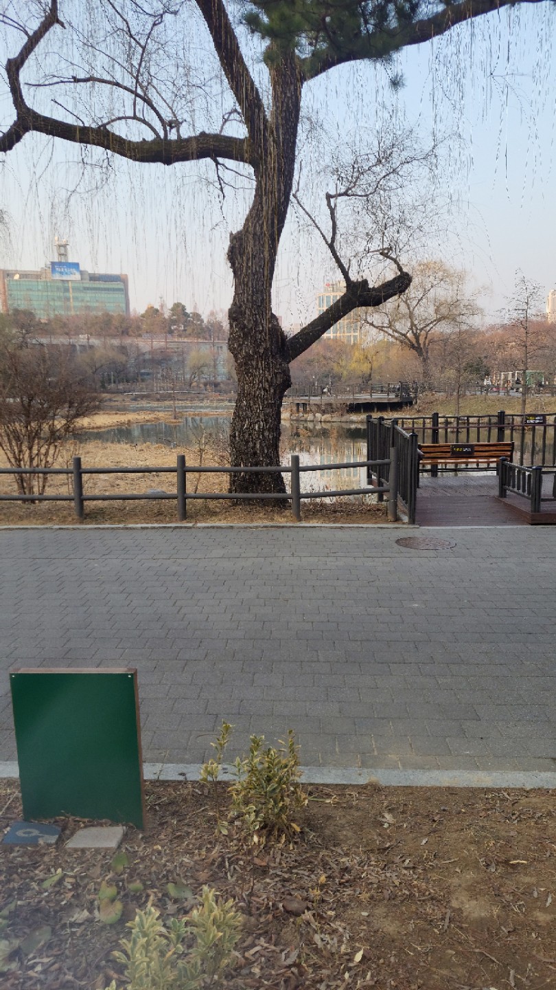 Post image 17