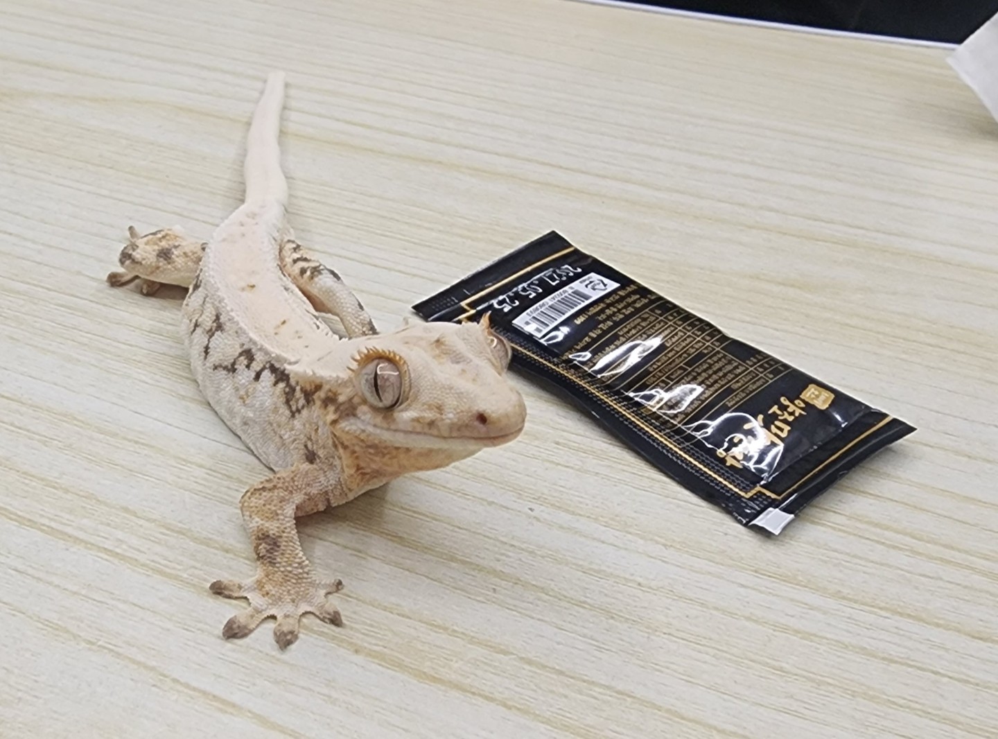 안녕하세요 수원 존잘남 10개월입니다