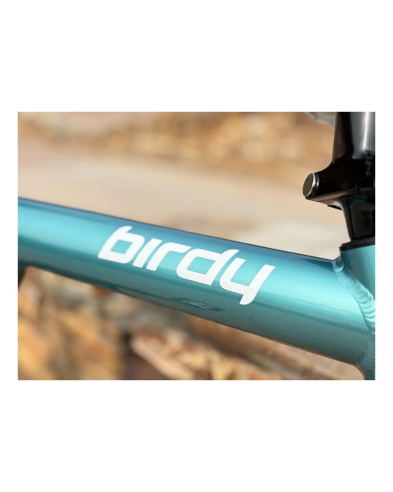 나만의 버디 소개! 🚲