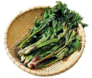 Post image 11