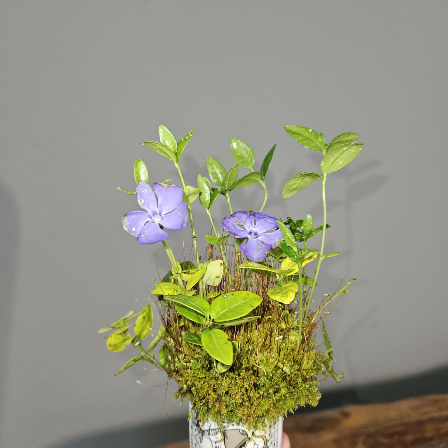 Post image 2