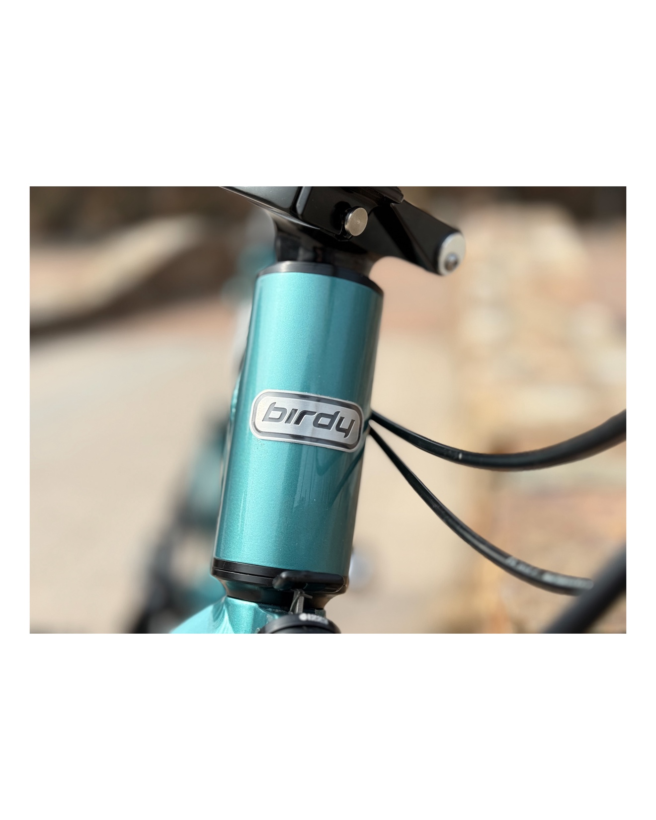 나만의 버디 소개! 🚲