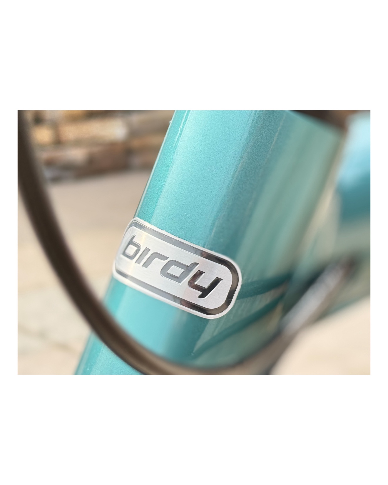 나만의 버디 소개! 🚲