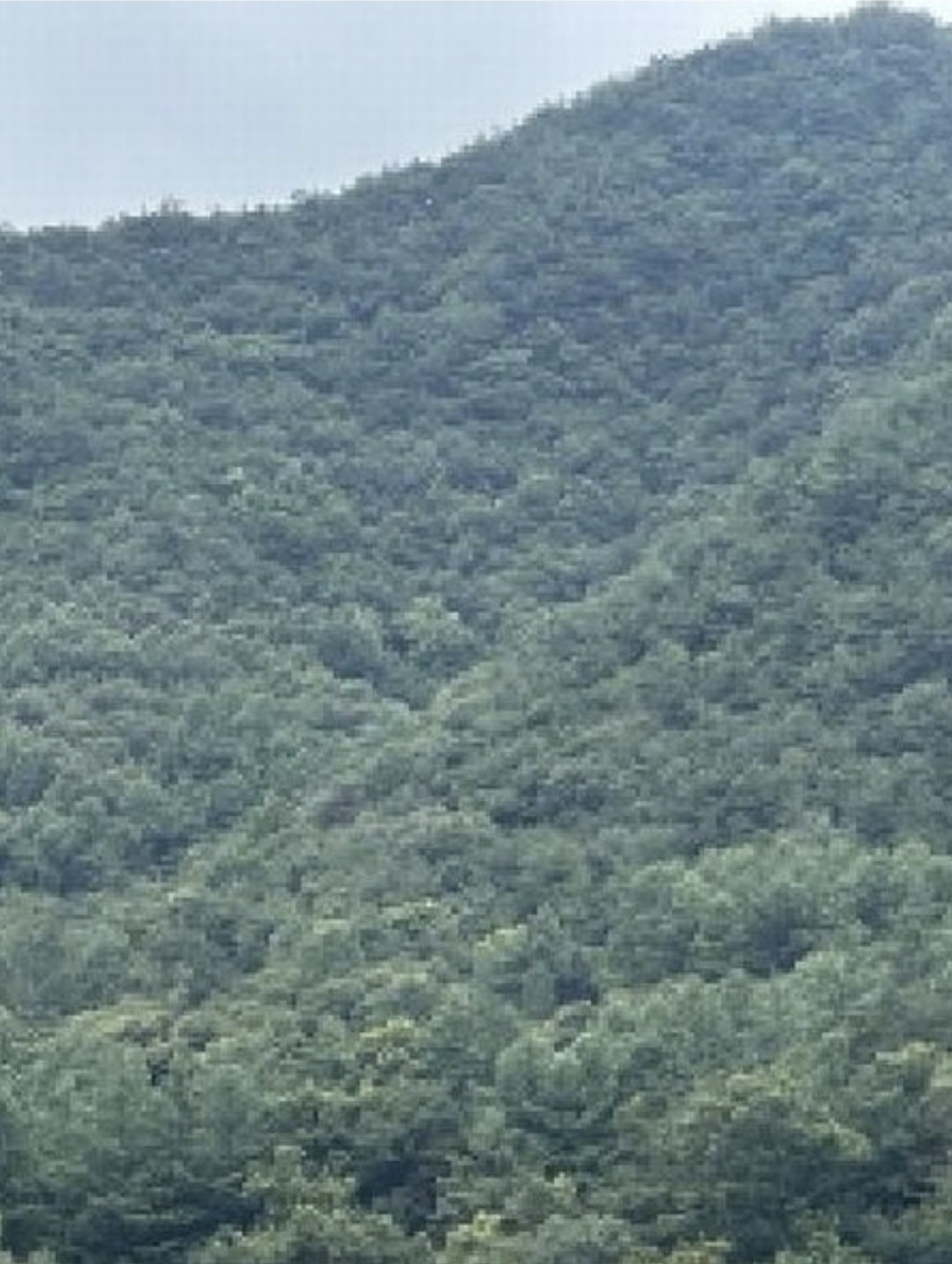 Post image 6