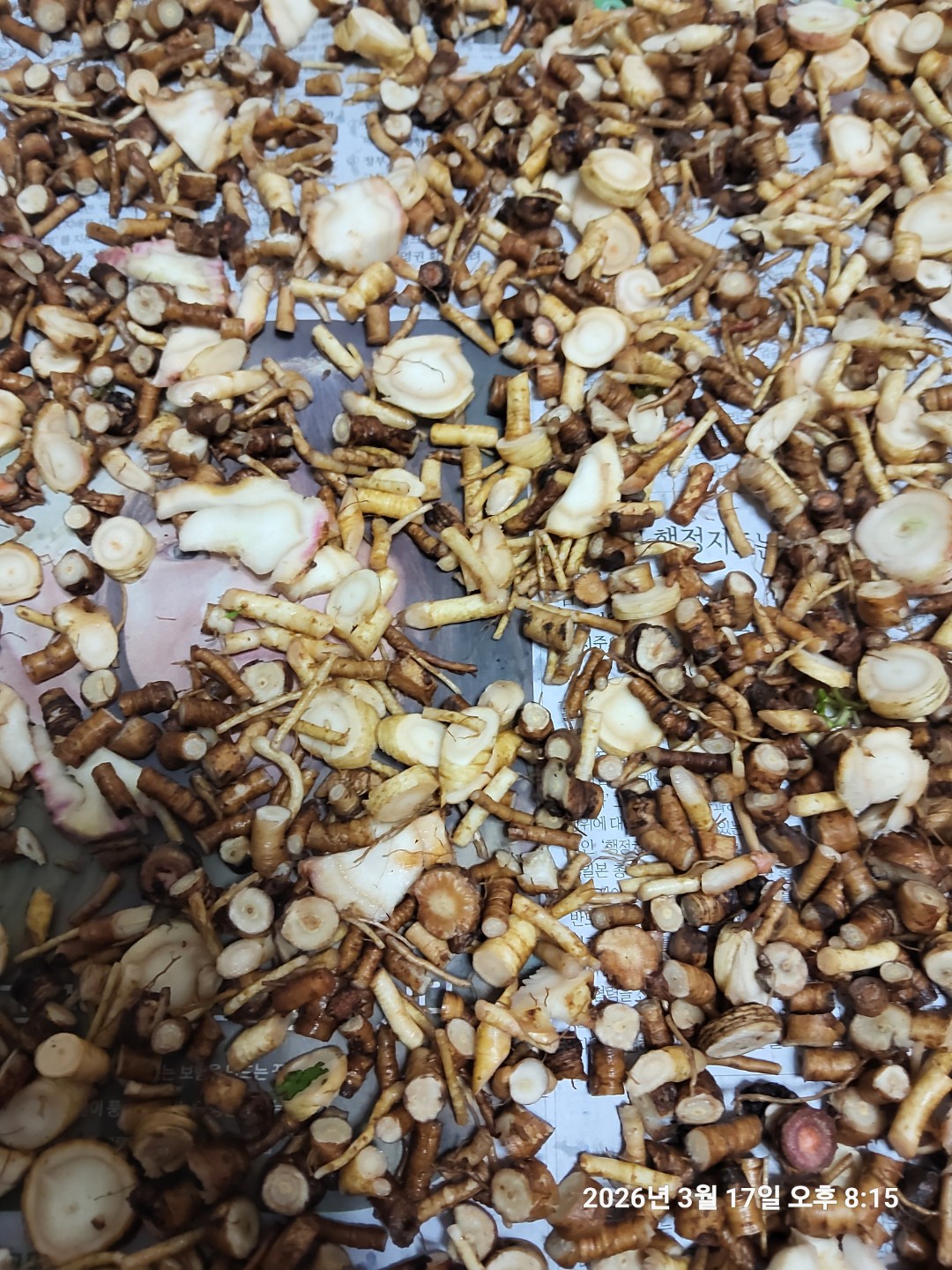 달맞이차 만들기