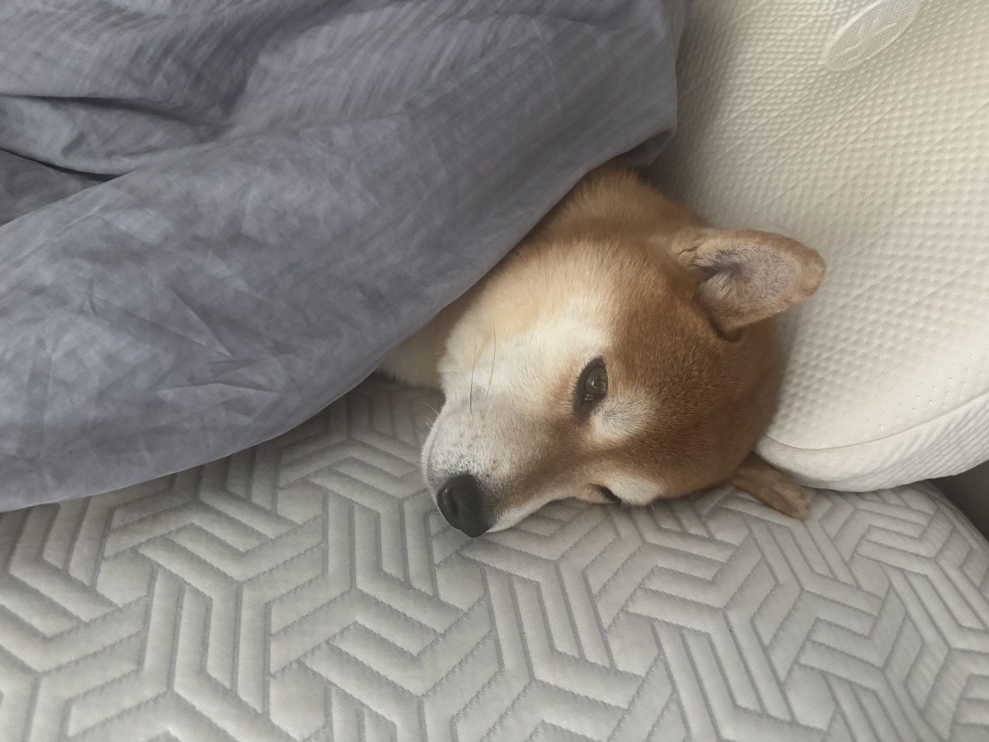 올림픽 효과…컬링, 친목 활동으로 인기 상승