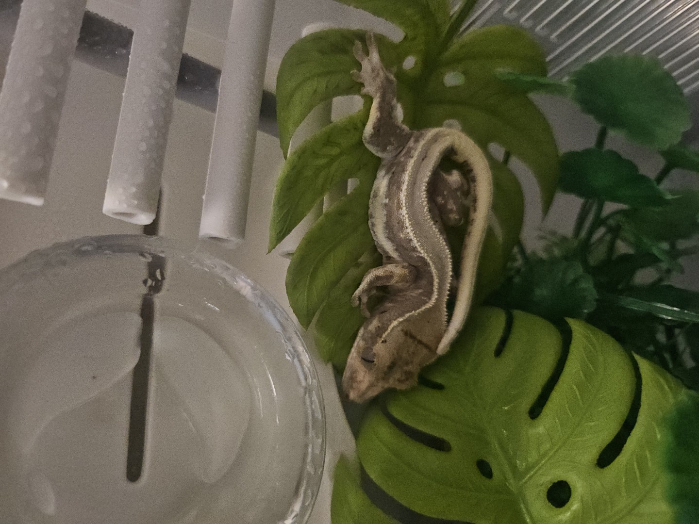 집사5일차입니다!