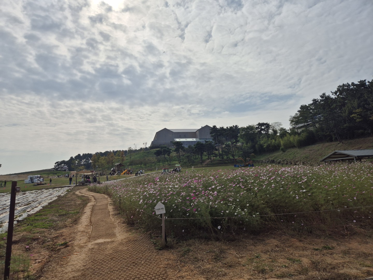 Post image 11