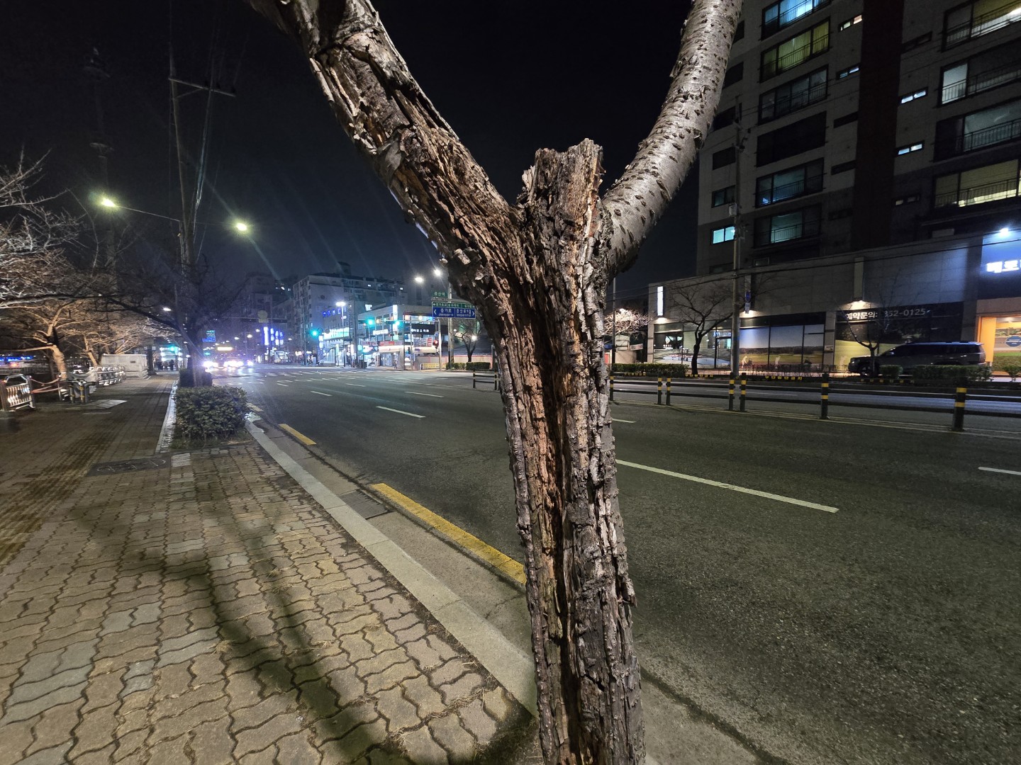 4월초를 기다립니다