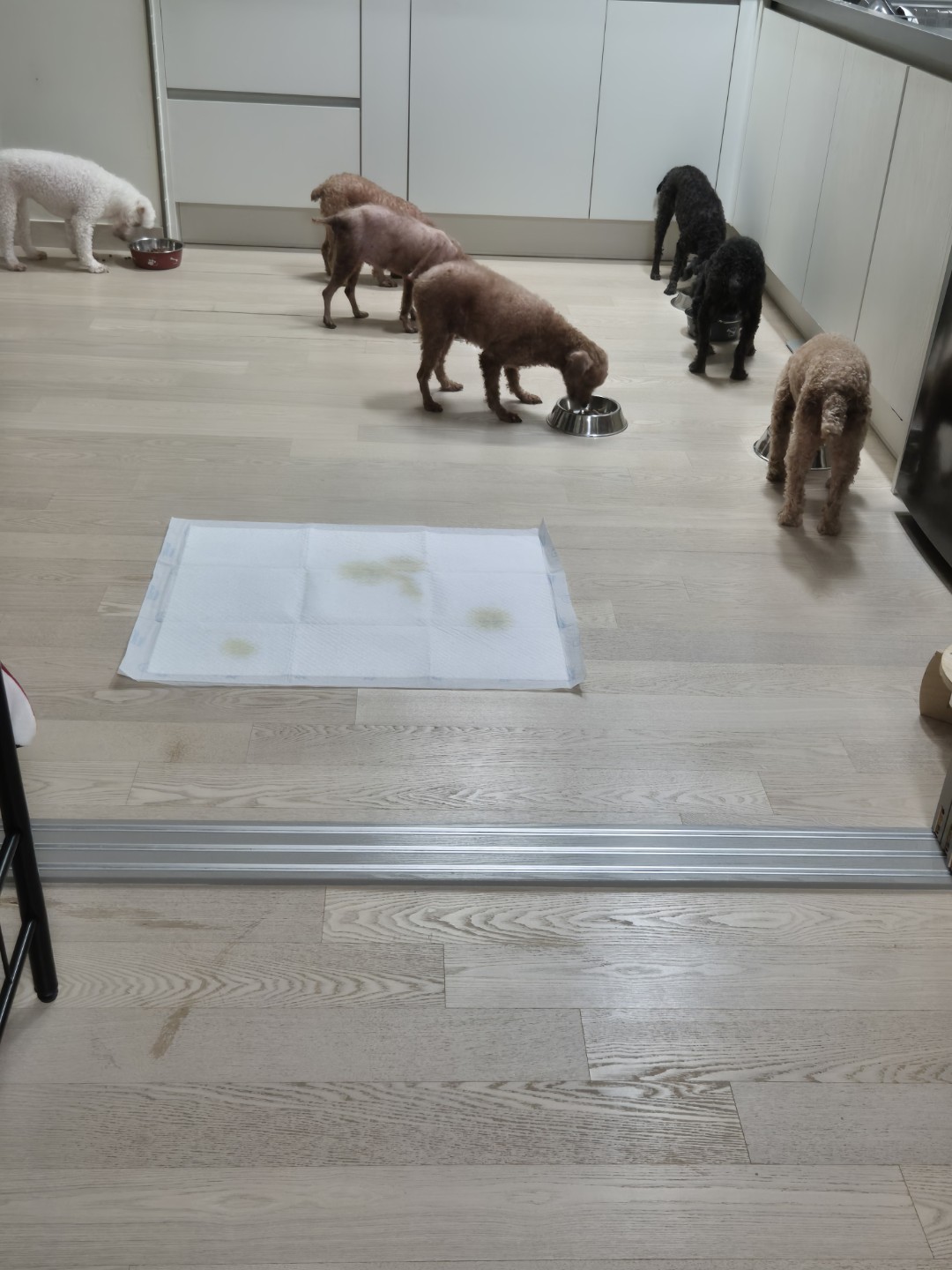 Post image 15