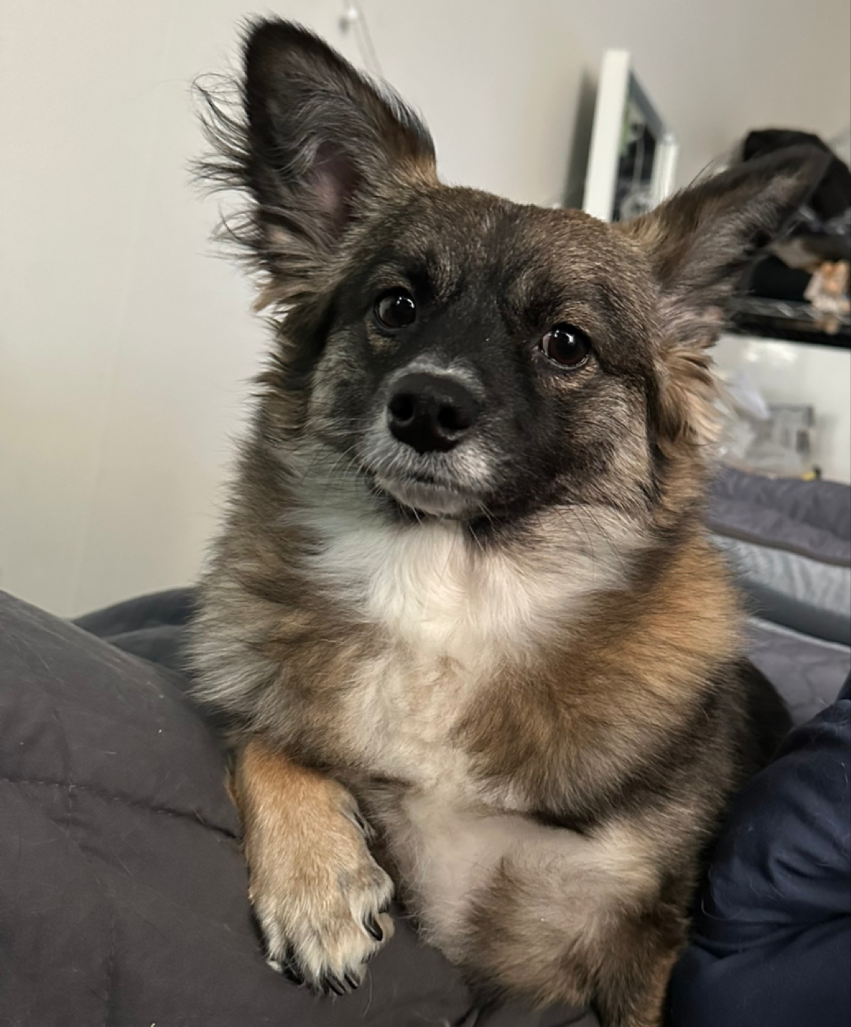 우리 아이 매력 발산 타임! ✨