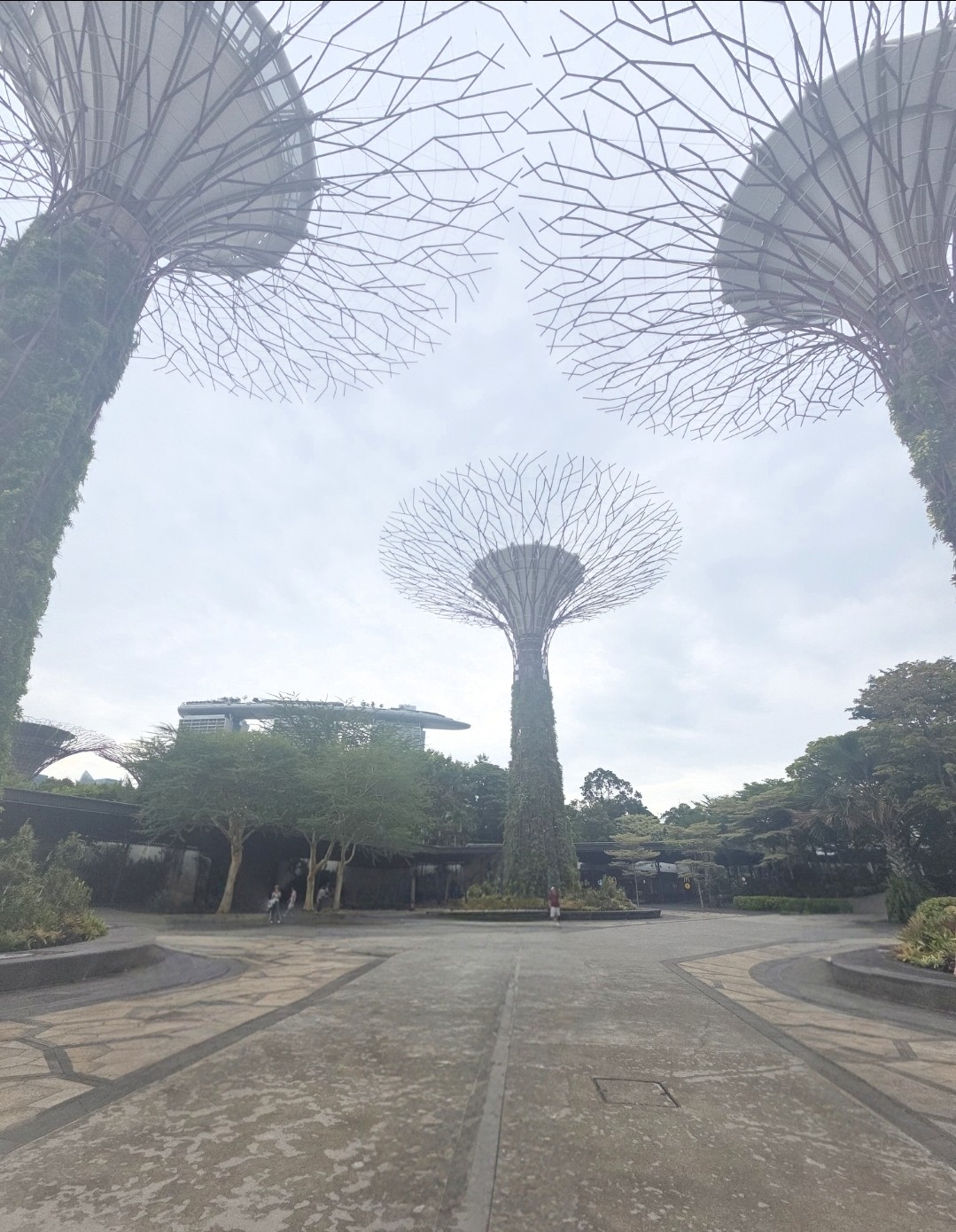 Post image 10