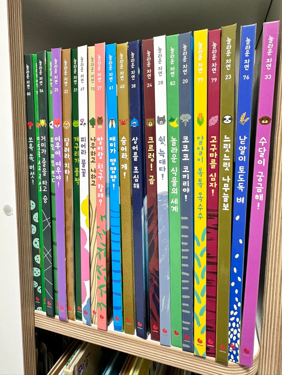 놀라운 자연으로 놀자 !