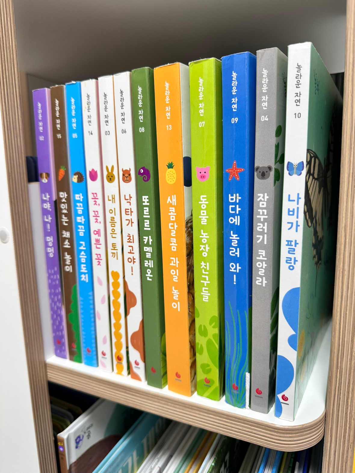 놀라운 자연으로 놀자 !