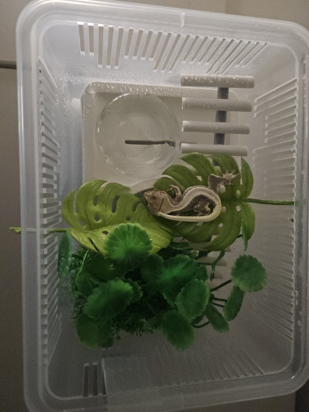 집사5일차입니다!