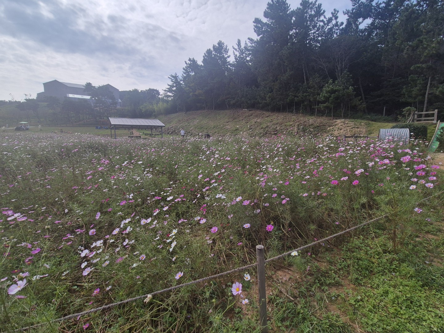 Post image 4