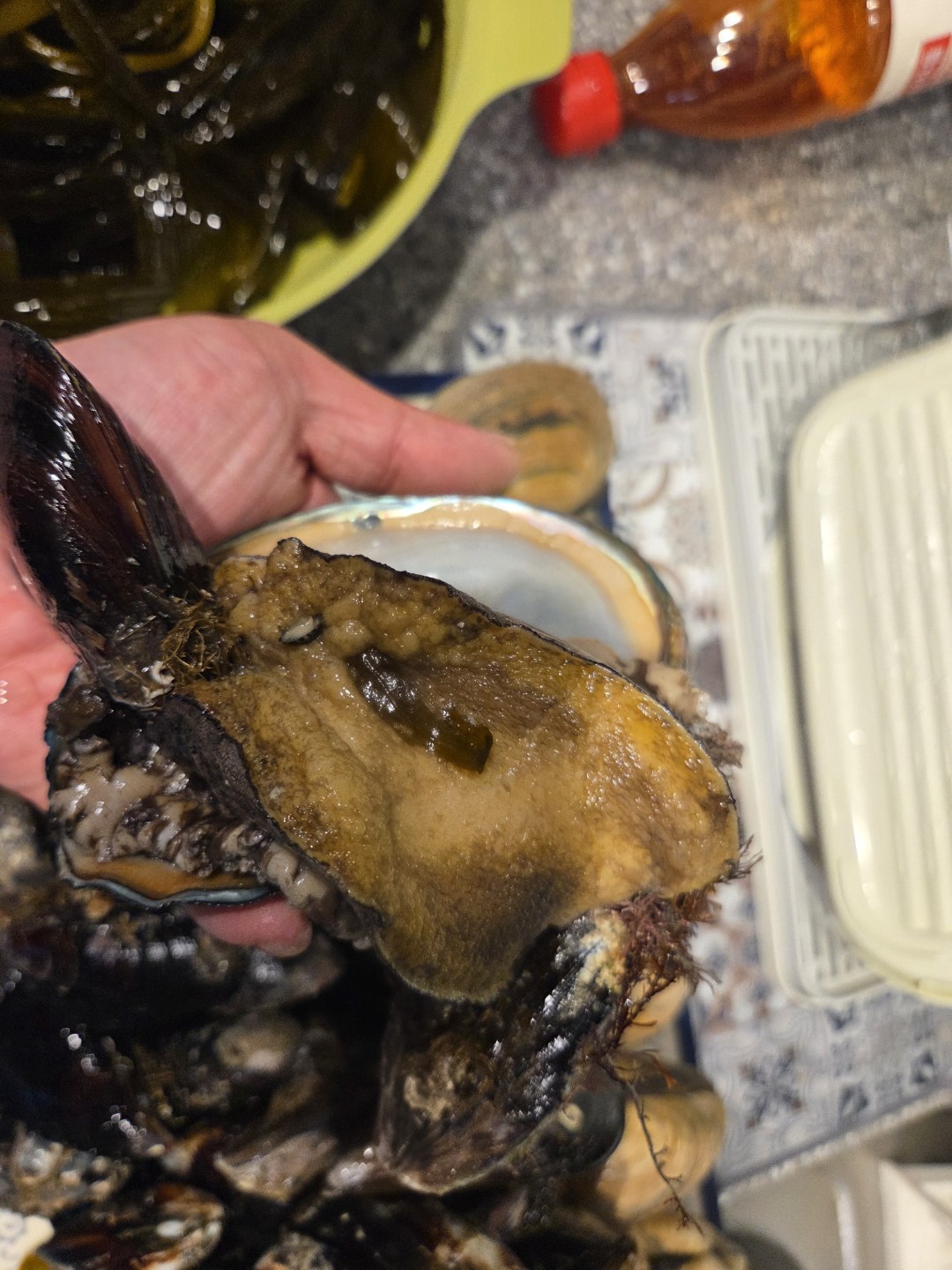 태안에서 3월 초에 잡은 거예요.