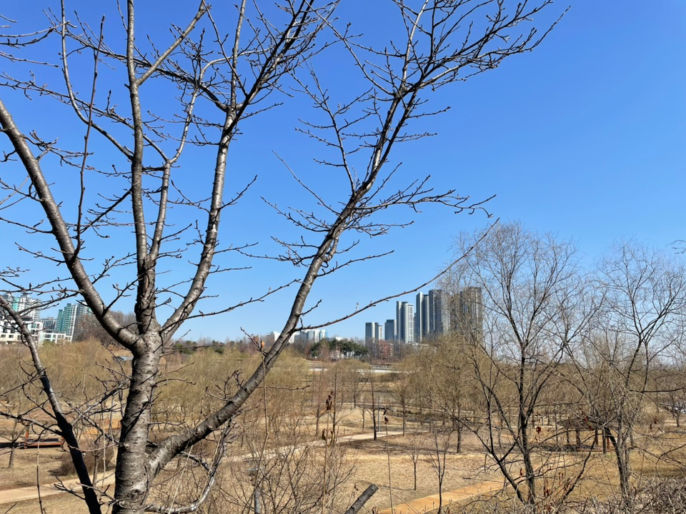 미세먼지 제로🌸 운정호수공원