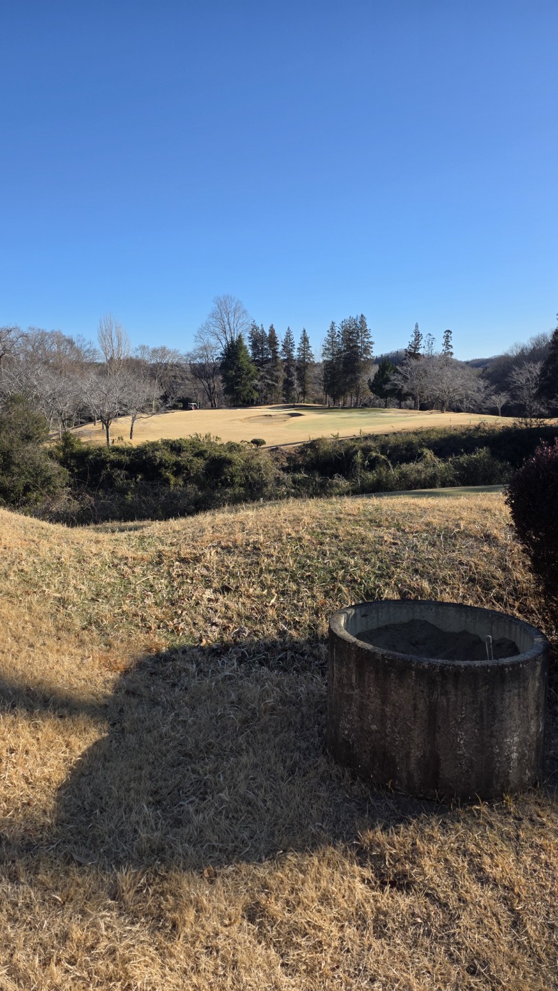 Post image 12