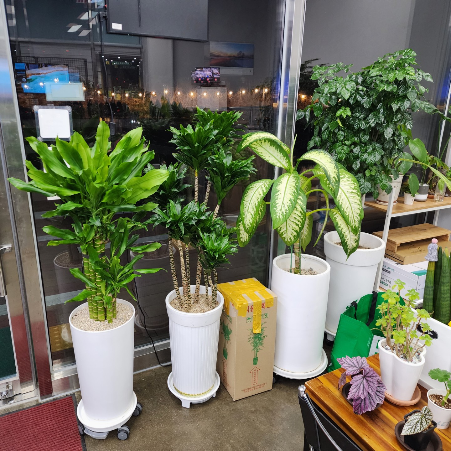 Post image 6