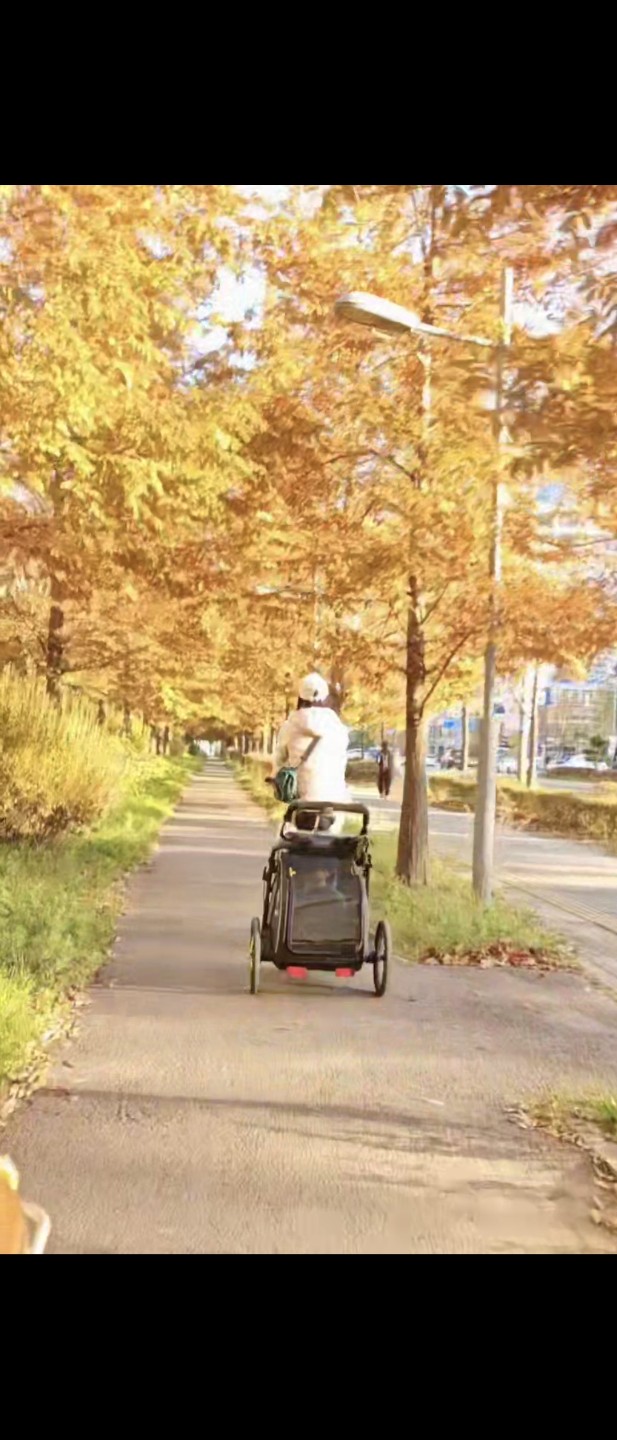 우리집 강아지 라이딩 안전템 1탄