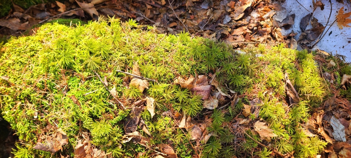 Post image 13
