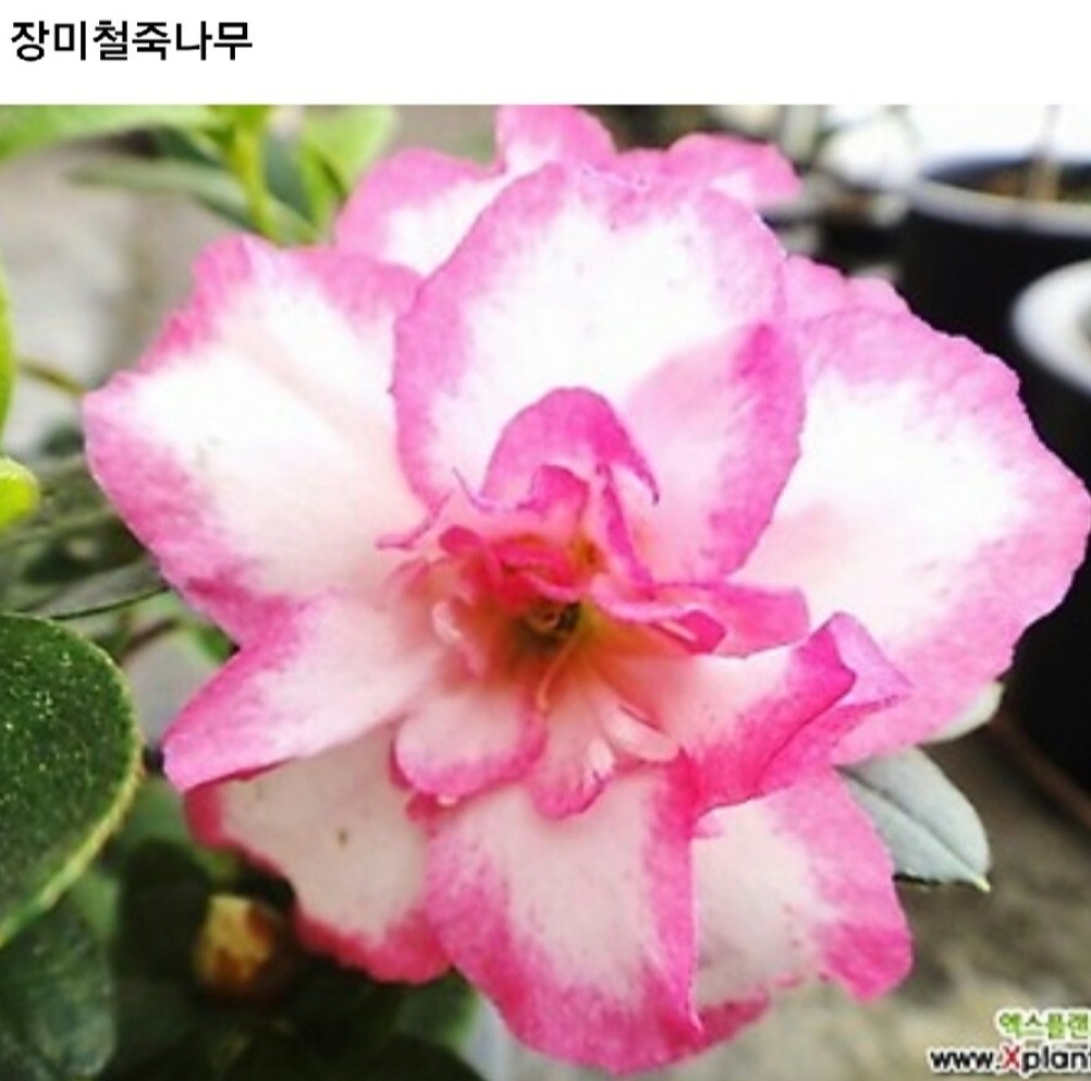 Post image 10