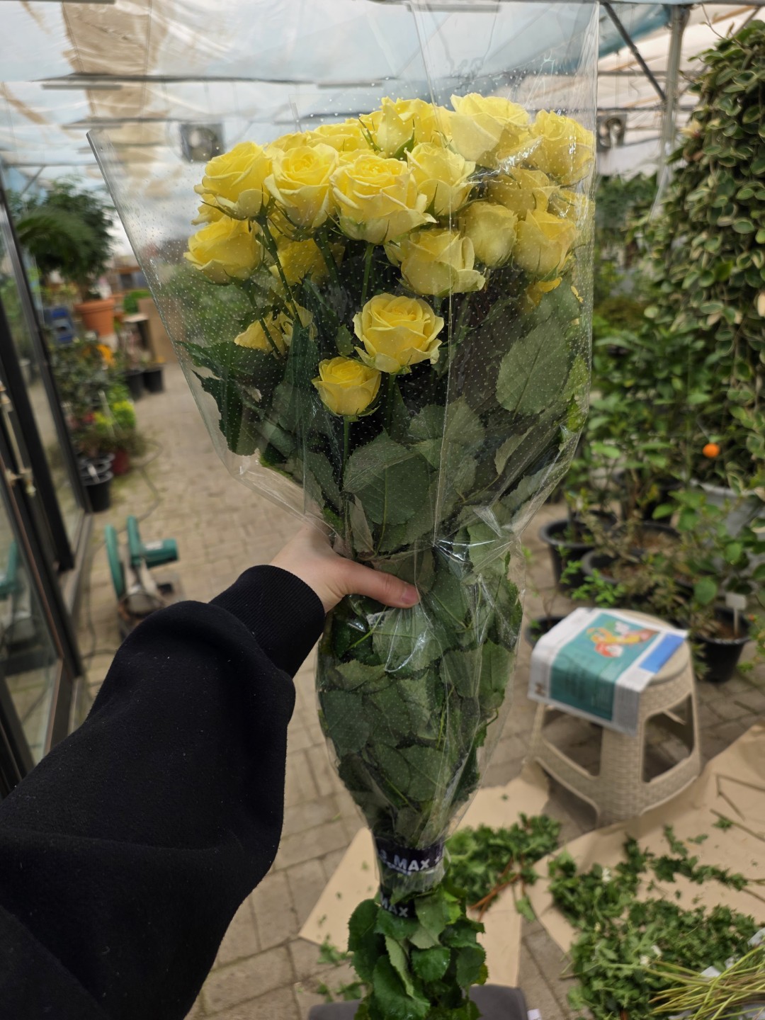 Post image 11
