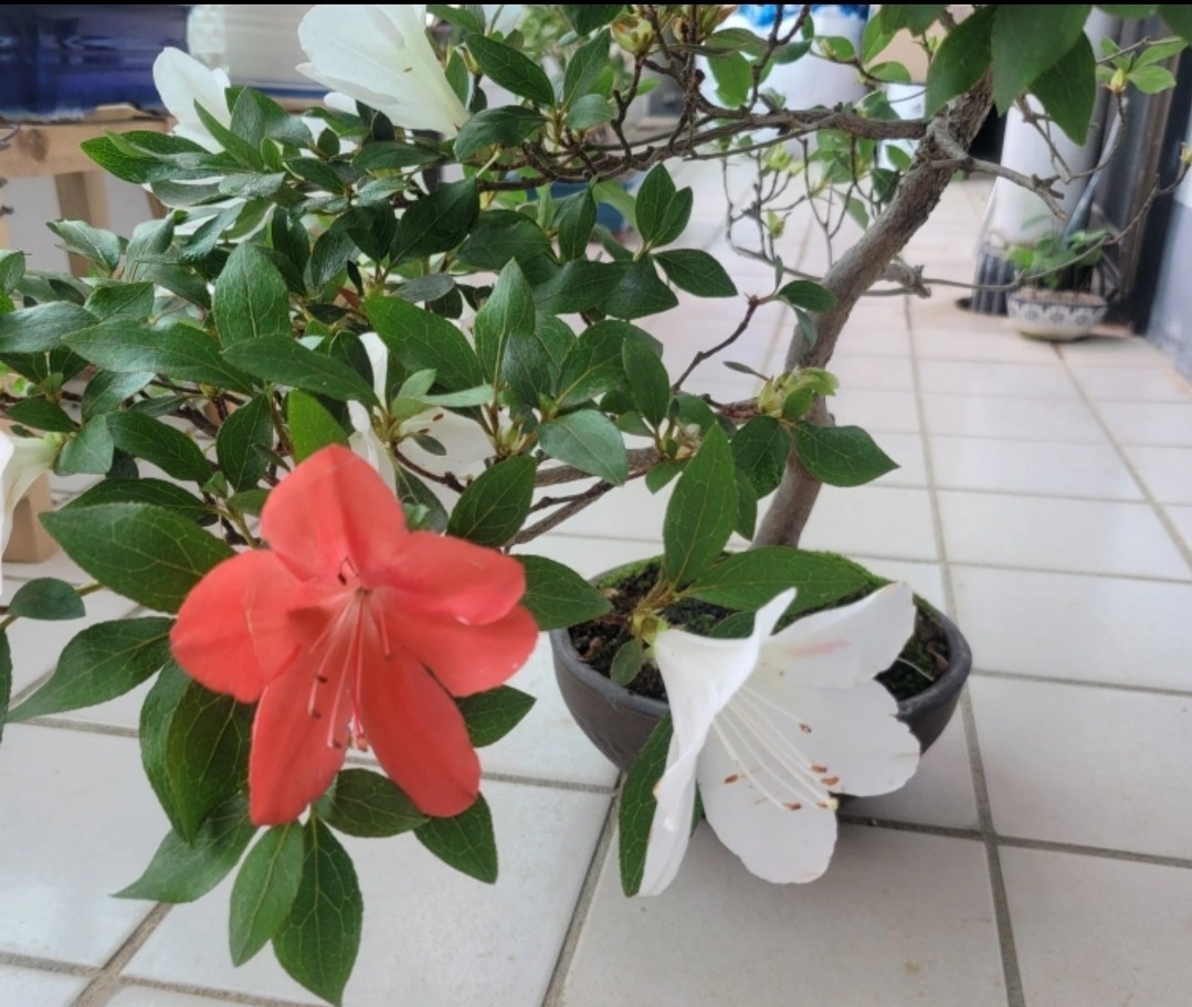 Post image 22