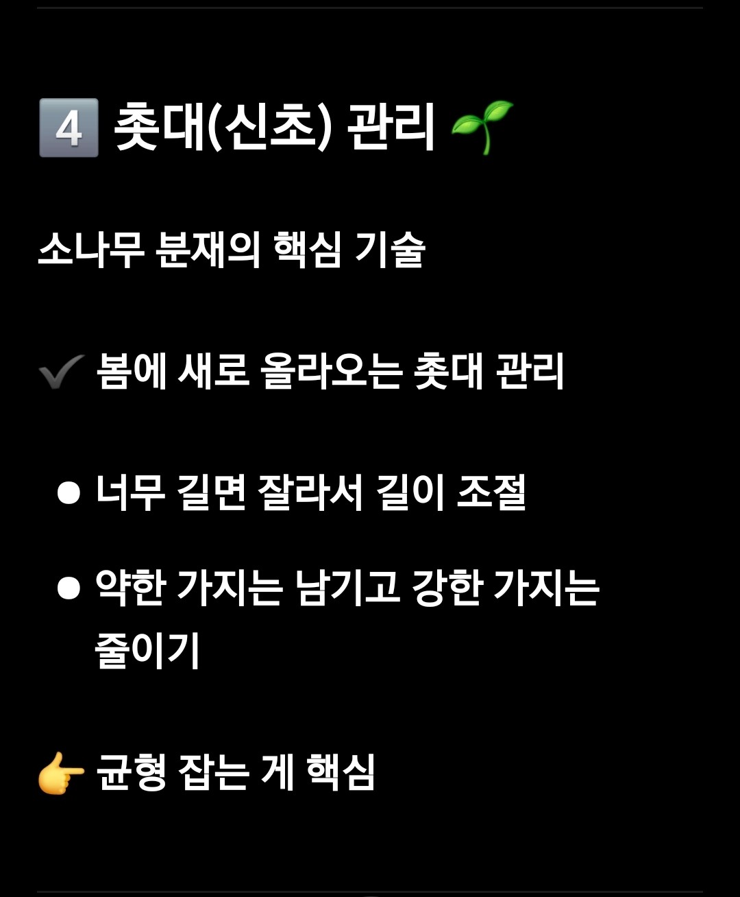 Post image 6
